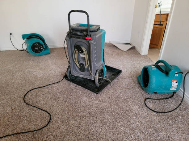 Best Water damage restoration near me  in Bloomingdale, NJ