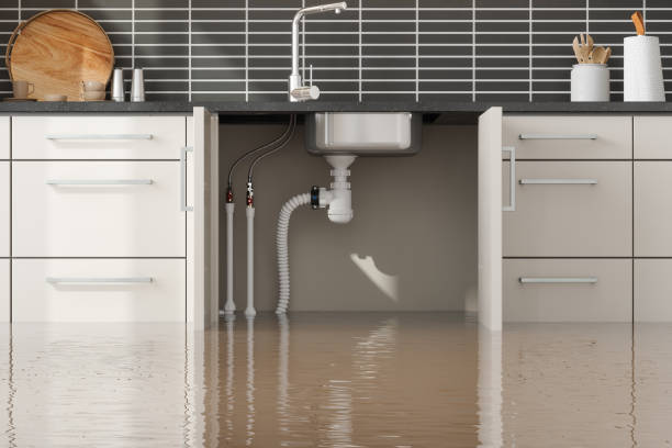 Best Basement water damage restoration  in Bloomingdale, NJ